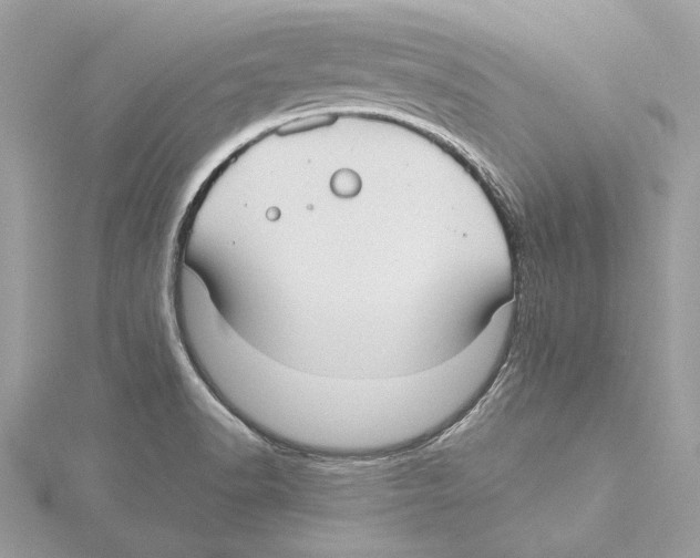 X0000115361518200912011102