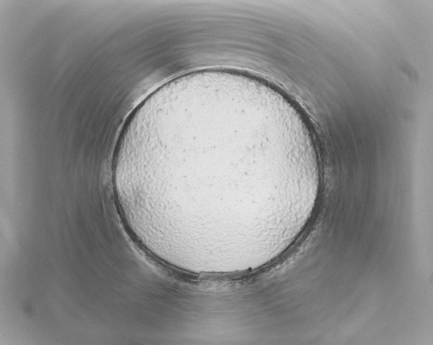 X0000115361521200912011102