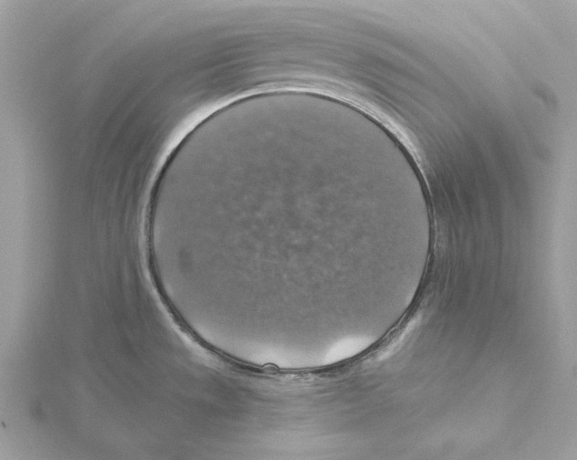 X0000115361533200912011102