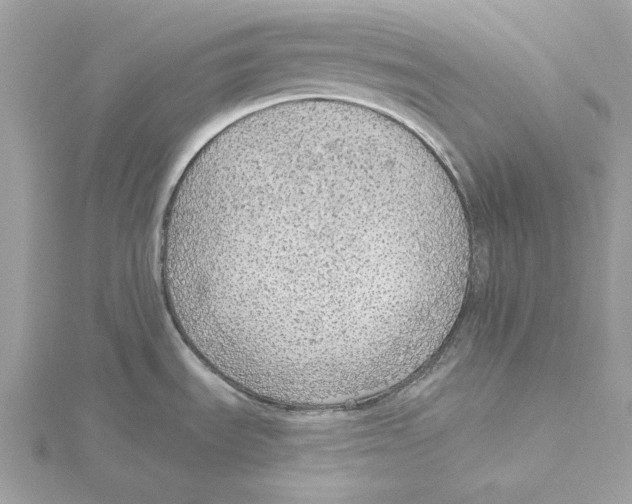 X0000115361535200912011102