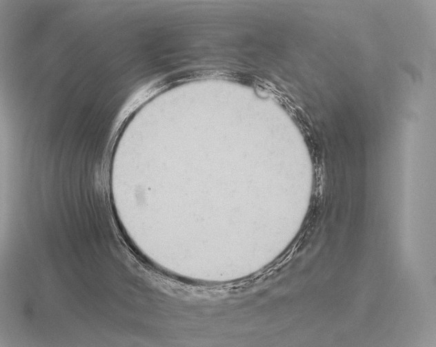 X0000115360004200912151408