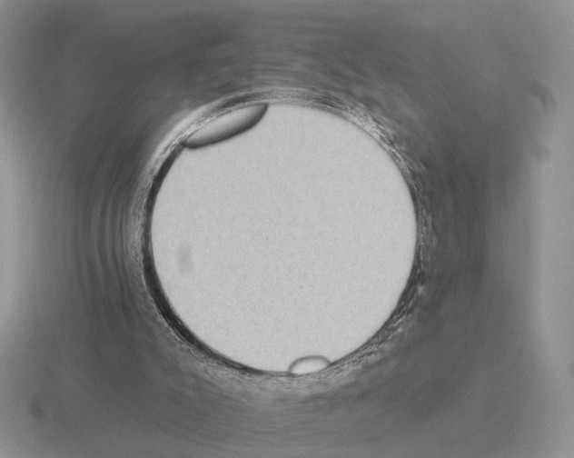 X0000115360007200912151407