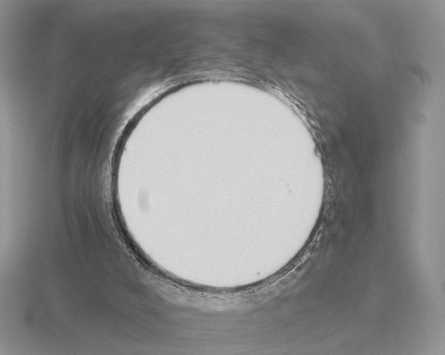 X0000115360008200912151407