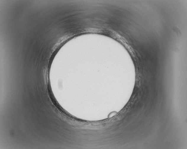 X0000115360011200912151407