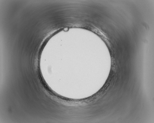 X0000115360012200912151407