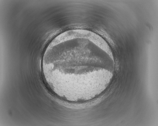 X0000115360014200912151407