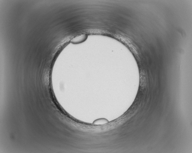 X0000115360015200912151407