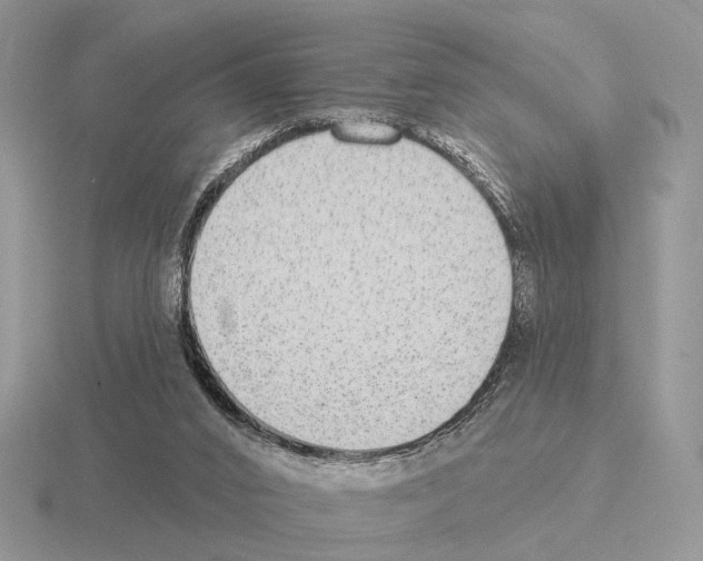 X0000115360016200912151407