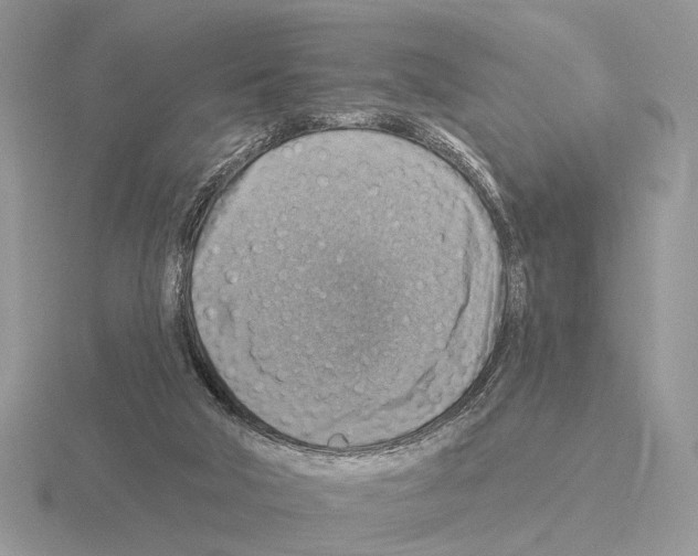 X0000115360018200912151407