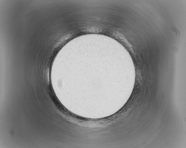 X0000115360020200912151407