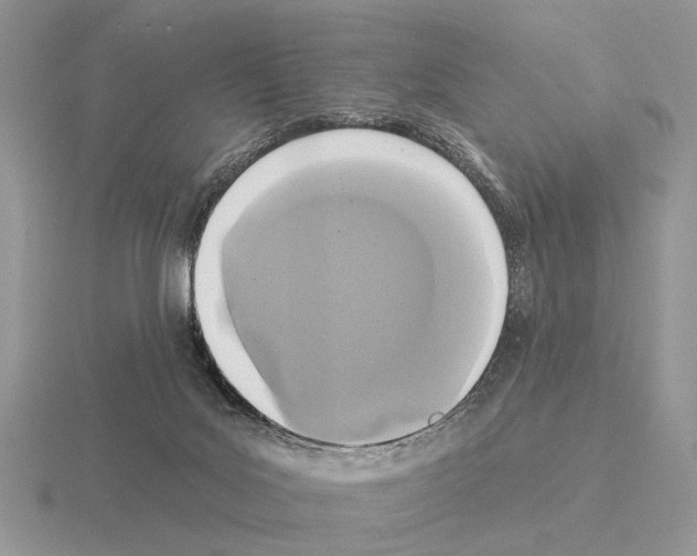 X0000115360027200912151407