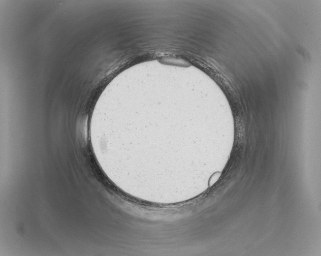 X0000115360028200912151407