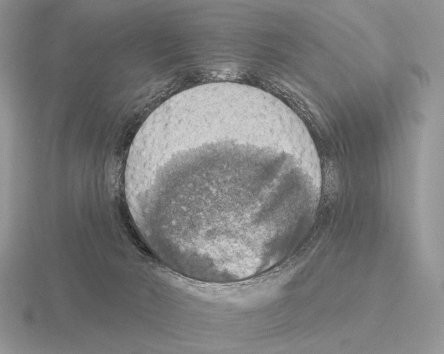 X0000115360030200912151407