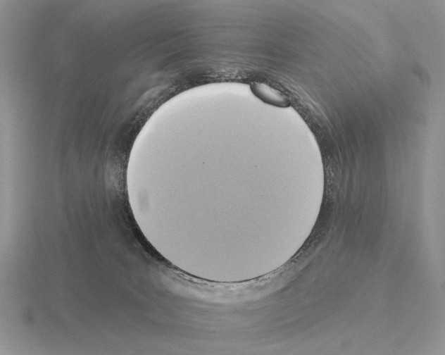 X0000115360035200912151407