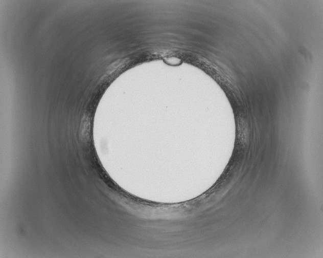 X0000115360036200912151407