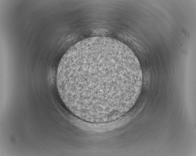 X0000115360038200912151407