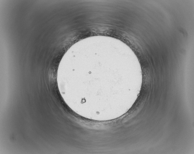X0000115360040200912151407