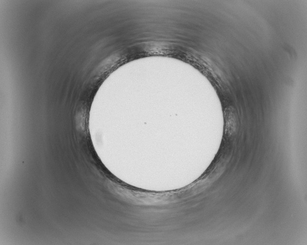 X0000115360044200912151407