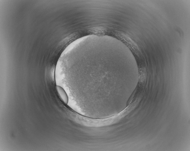 X0000115360047200912151407