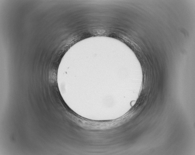 X0000115360048200912151407