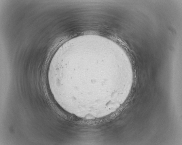 X0000115360049200912151406