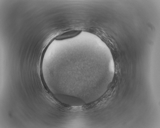 X0000115360052200912151406