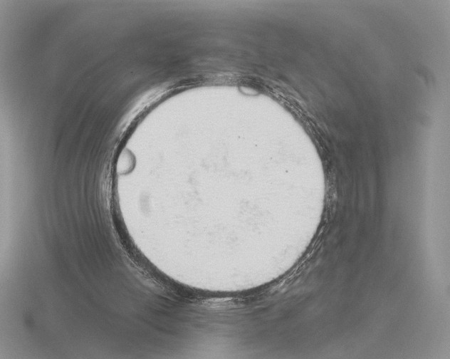 X0000115360054200912151406