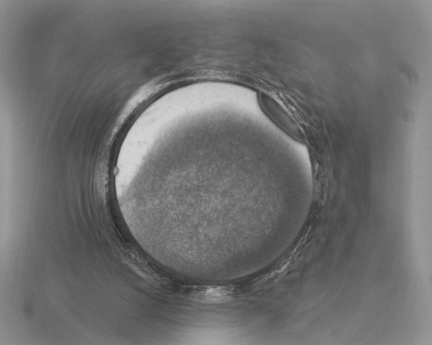X0000115360056200912151406
