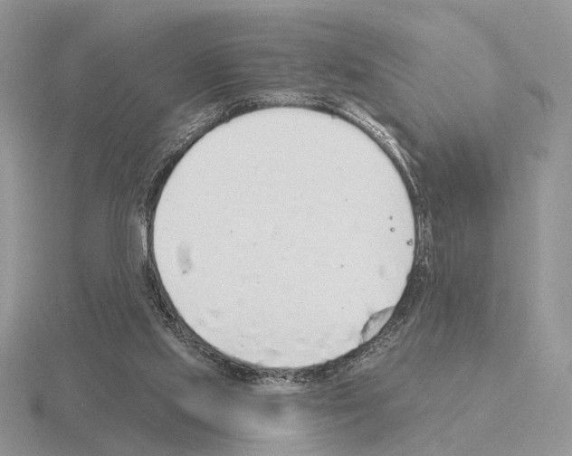 X0000115360061200912151406