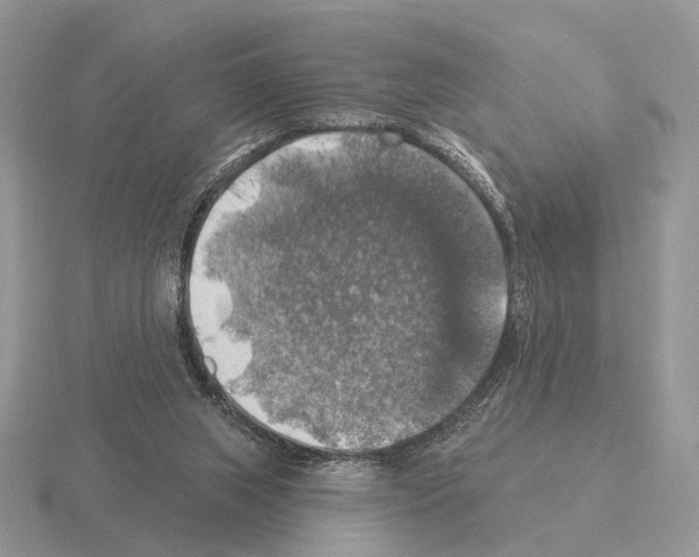 X0000115360063200912151406
