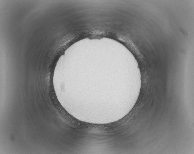 X0000115360066200912151406