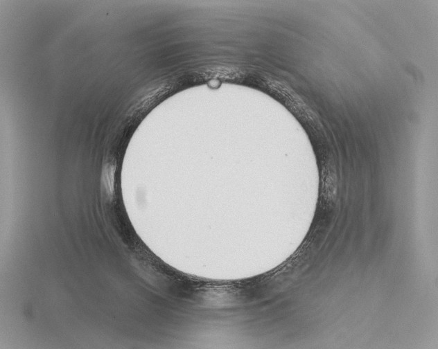 X0000115360070200912151407