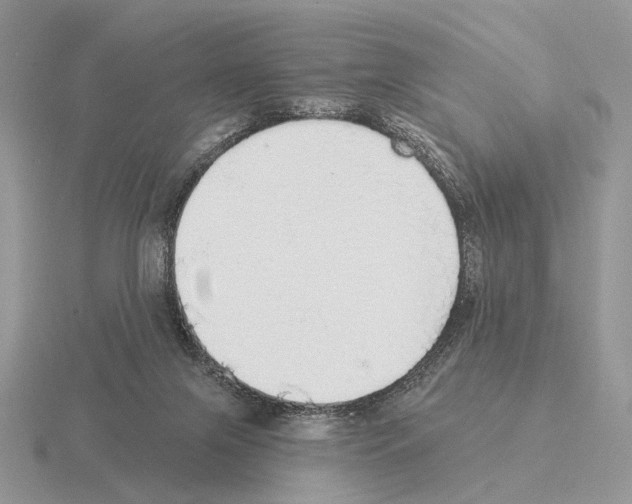 X0000115360071200912151407