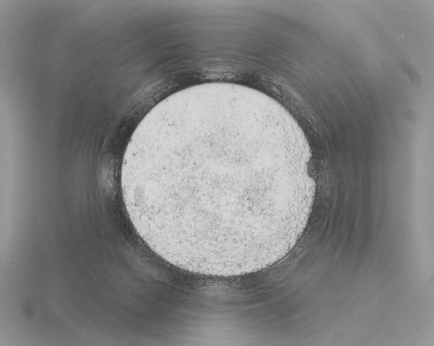 X0000115360074200912151407