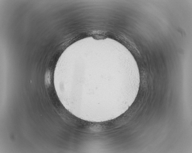 X0000115360075200912151407