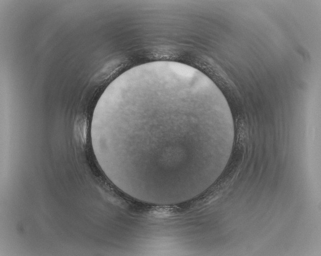X0000115360076200912151407