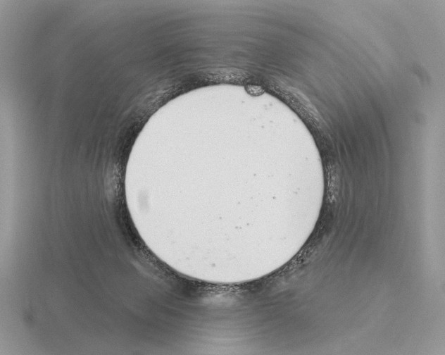 X0000115360077200912151407
