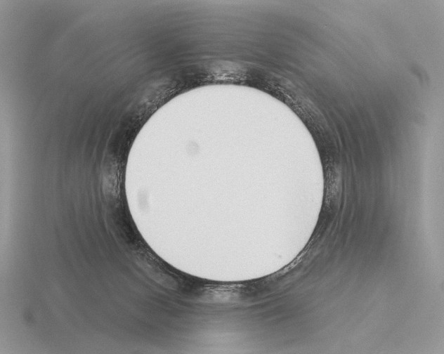 X0000115360078200912151407