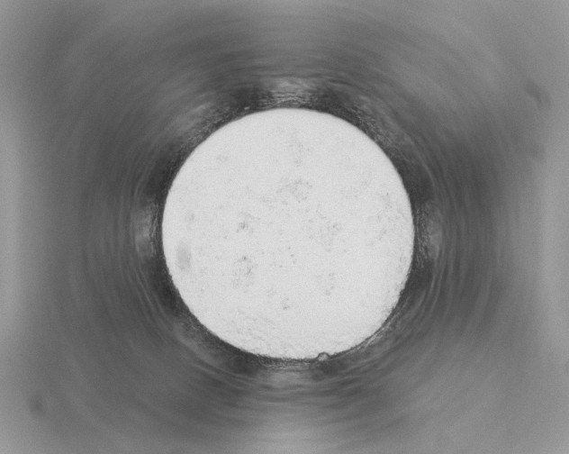 X0000115360082200912151407