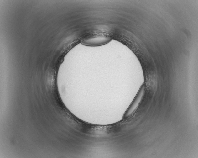 X0000115360084200912151407