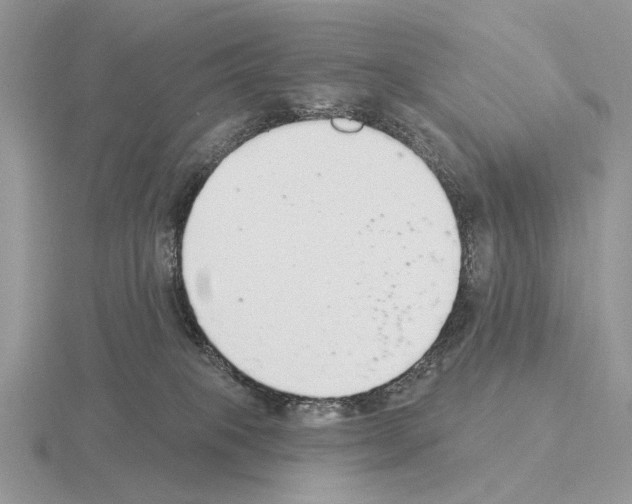 X0000115360085200912151407