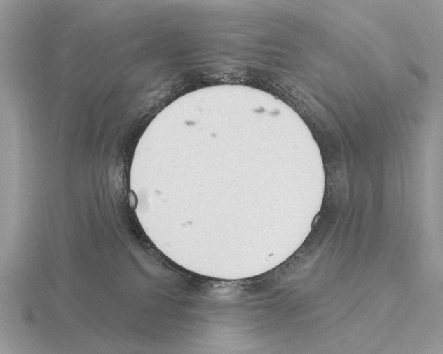 X0000115360088200912151407