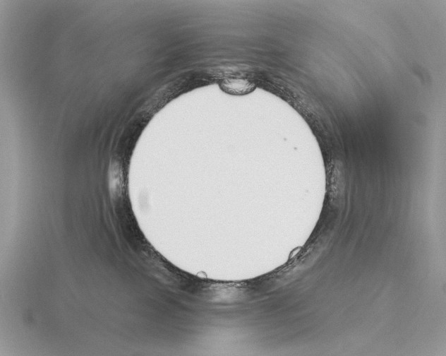 X0000115360089200912151407