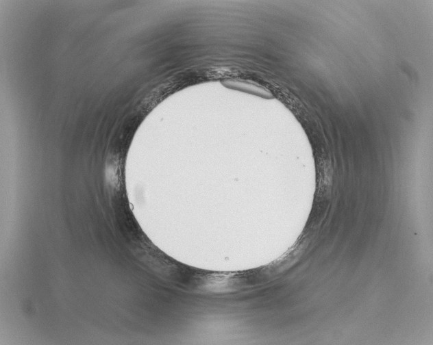 X0000115360090200912151407