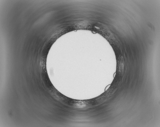 X0000115360091200912151407