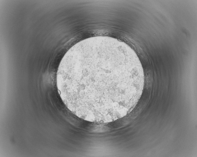 X0000115360093200912151407