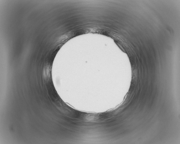 X0000115360094200912151407