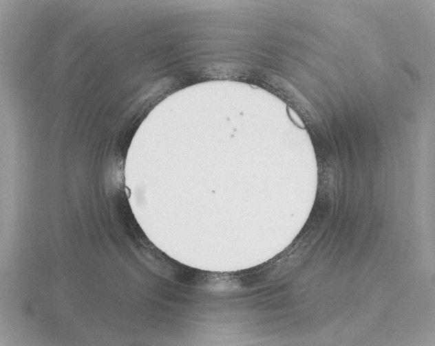 X0000115360095200912151407