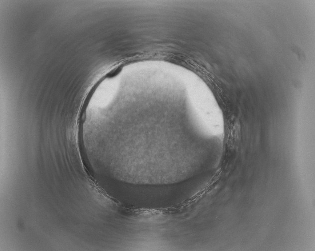 X0000115360100200912151406