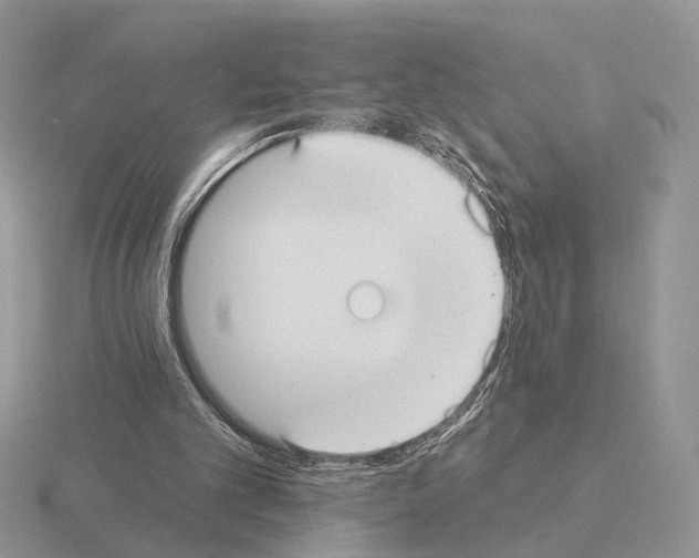 X0000115360101200912151406